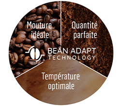 Bean Adapt Delonghi Primadonna Soul ECAM 610.74.MB