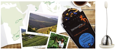 Infuseur à thé destination