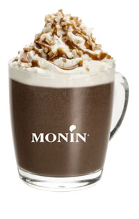 Fruit de Monin Frappe Vanille