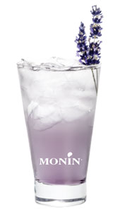 Fruit de Monin Frappe Vanille