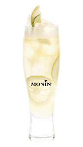Fruit de Monin Frappe Vanille
