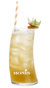 Fruit de Monin Frappe Vanille