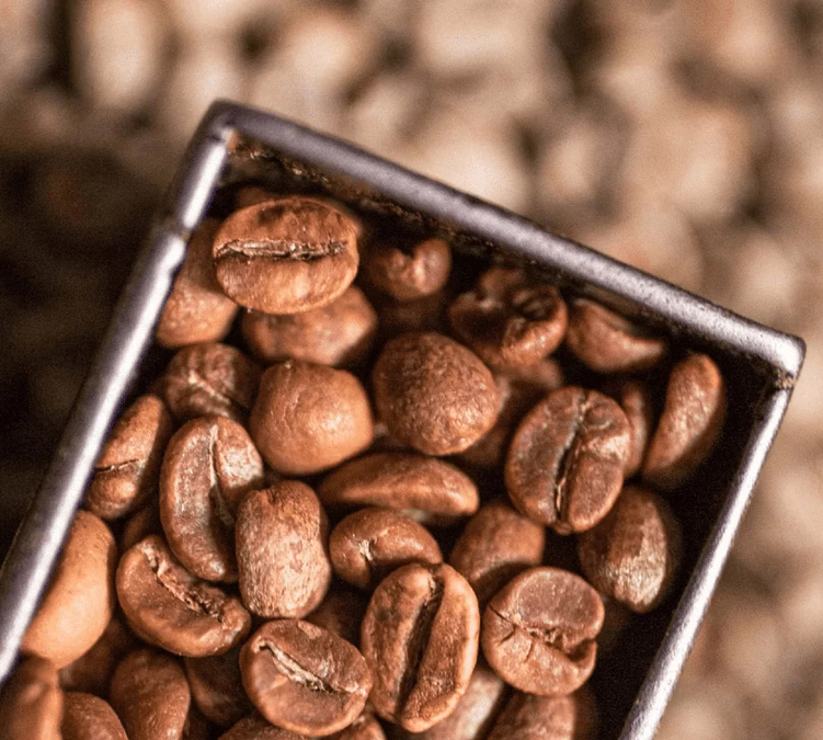 cafe en grain brulerie caron meilleure ouvrier de france blend signature kg