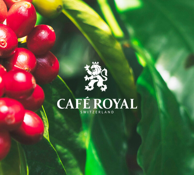 Marque café royal café en grain