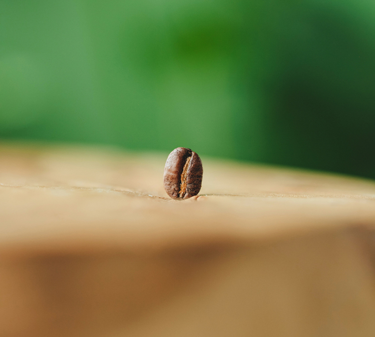 cafe en grain engage et biologique