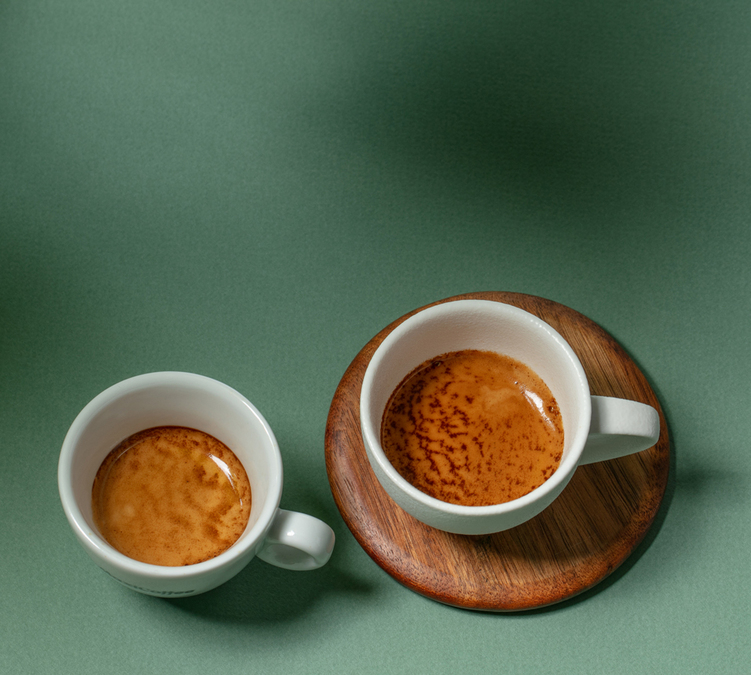 moment de degustation avec cafe en grain et verres maxicoffee