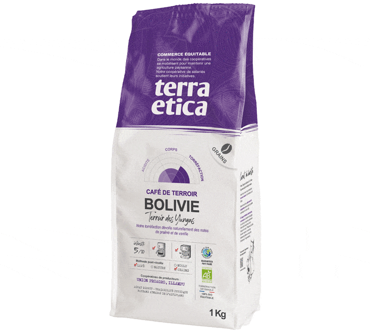 cafe en grain bio terra etica bolivie kg