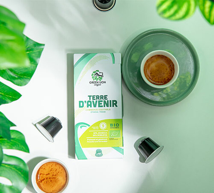green lion coffee capsules nespresso pour pros 