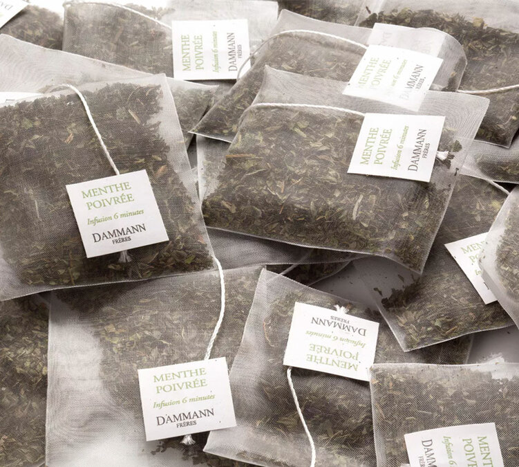 tisane menthe dammann freres