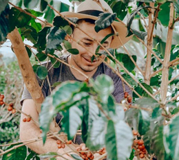producteur diego bermudez dans plantation de cafe en colombie culture durable cafe el paraiso aventurero de specialite