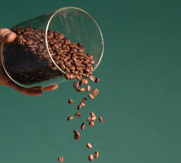 grains de cafe en pack decouverte decafeines maxicoffee conservation hermetique et aromes preserves