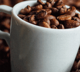 cafe segafredo intermezzo en grains
