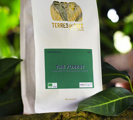 cafe en grain bio terres de cafe the forest