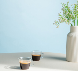 deux tasses de cafe lungo servis revelant une crema onctueuse et des aromes intenses