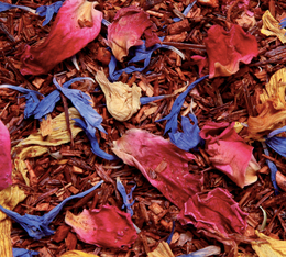rooibos en vrac