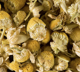 tisane camomille dammann freres