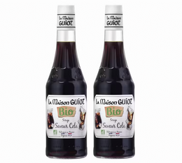 sirop cola bio maison guiot deux bouteilles