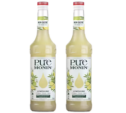 concentre pure by monin citron citron vert deux bouteilles