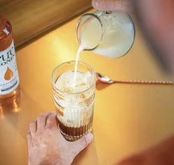 concentre monin peche abricot