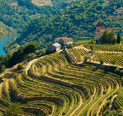 region douro portugal bodum