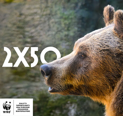 partenariat wwf et bialetti gamme moka express