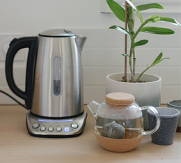 bouilloire kottea temperature variable thes