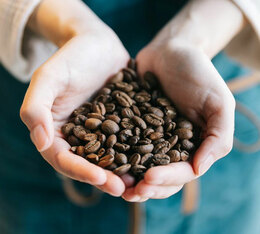 grain zicaffe