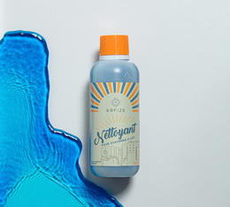 nettoyant arfize système lait 250ml