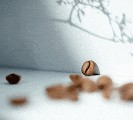 specialty coffee moka ethiopie bio