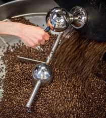 café en grain brulerie du cantin MOF 
