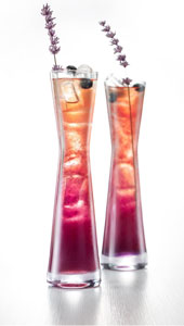 Purple Tea