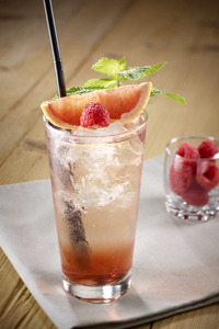 Fruit de Monin Frappe Vanille