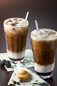 Fruit de Monin Frappe Vanille
