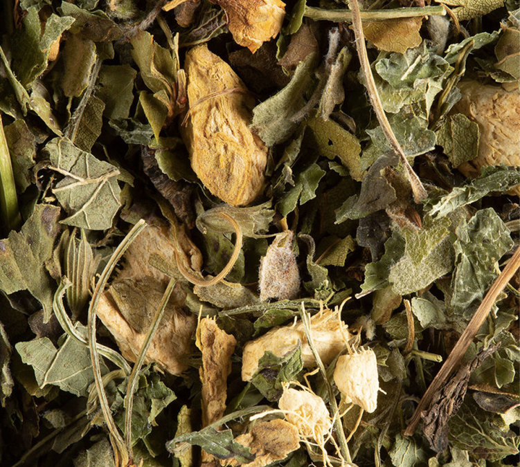 Magic Ginger Tisane Gingembre Citron Miel - Vrac 100 g - DAMMANN FRÈRES