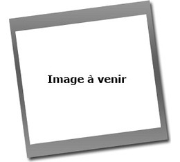 10 cápsulas compatibles con Nespresso* Original Espresso Descafeinado - CARTE NOIRE