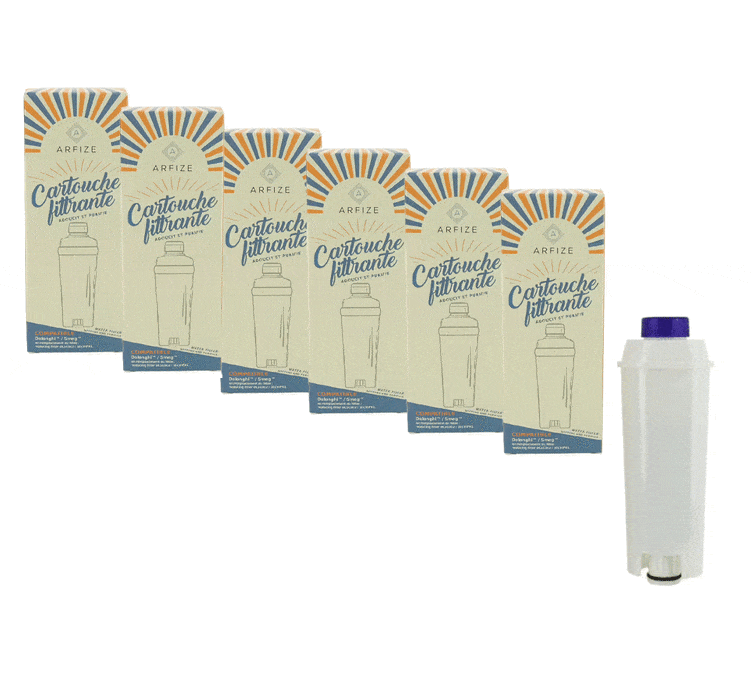 Cartuccia filtrante (compatibile SMEG) ARFIZE x6