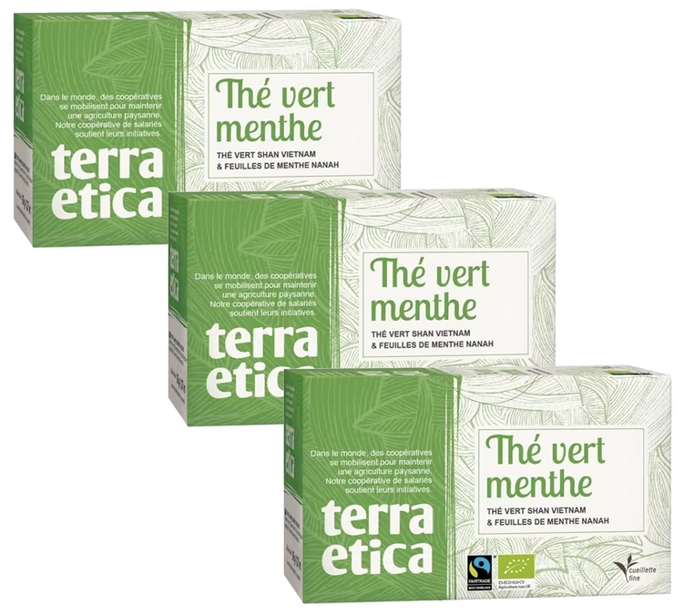 Ekologiczna i Sprawiedliwa Zielona Herbata Miętowa - 3 x 20 torebek - TERRA ETICA