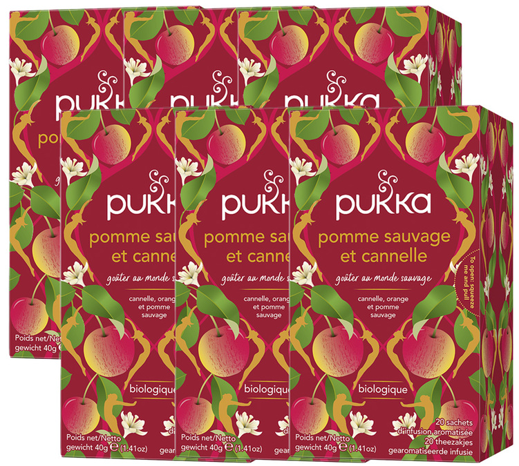 Napar dla profesjonalistów dzika jabłko i cynamon Bio - 6 x 20 torebek - PUKKA