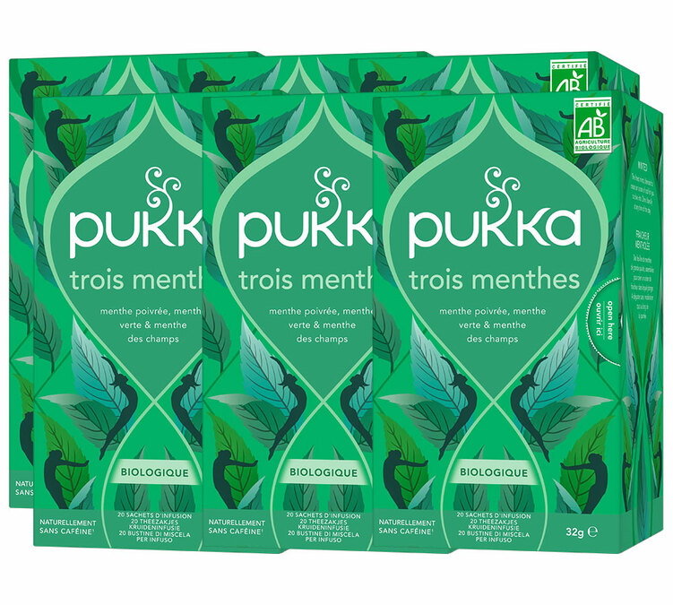 Infusion för Professionella Tre Myntor Ekologisk - 6 x 20 påsar - PUKKA