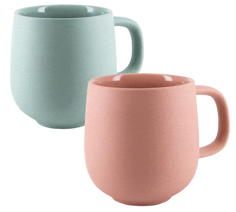 Tasse für Profis Terra Ziegel + Tasse Terra Salbei 33 cl - PYLANO