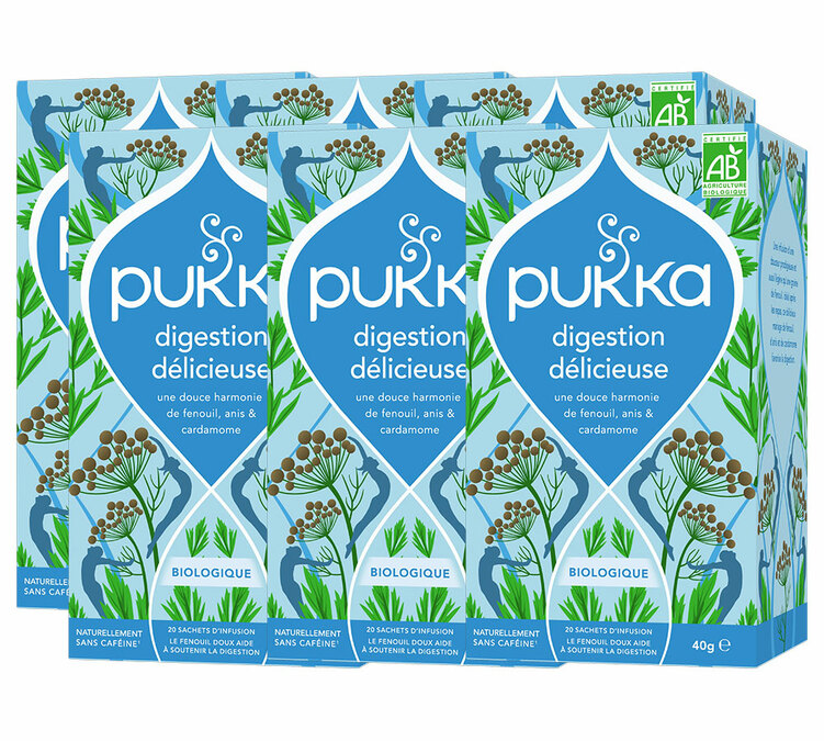 PUKKA – Bio emésztést segítő gyógynövénytea, kifejezetten szakemberek számára – 6 doboz, dobozonként 20 teászsák.