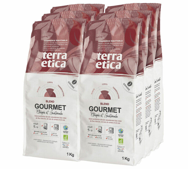 6 kg bio kávébab, kifejezetten professzionális felhasználásra, Gourmet Expresso – Terra Etica