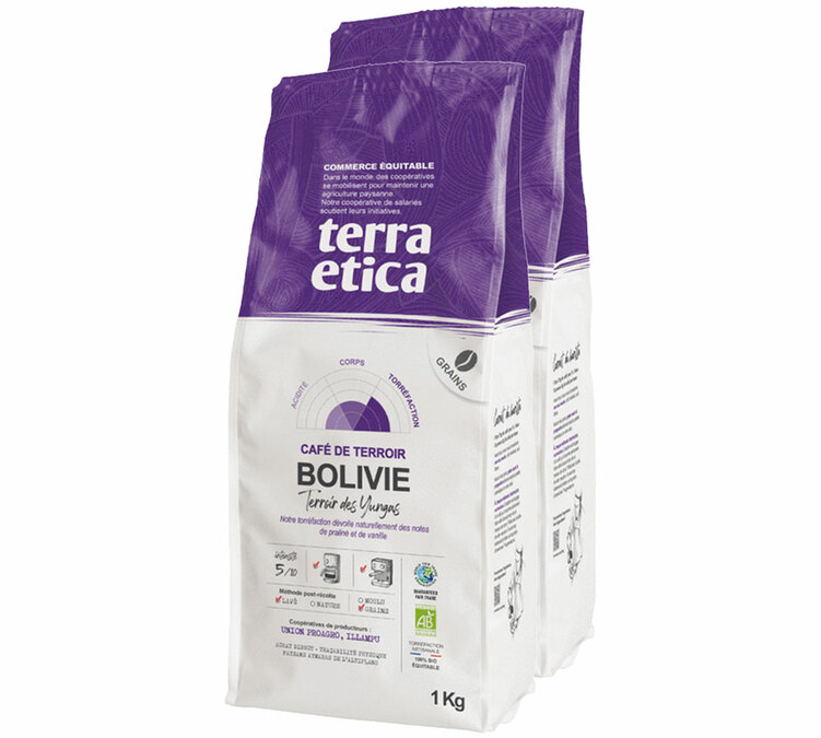 2 kg bolíviai, bio minőségű kávébab, professzionális felhasználásra – Terra Etica