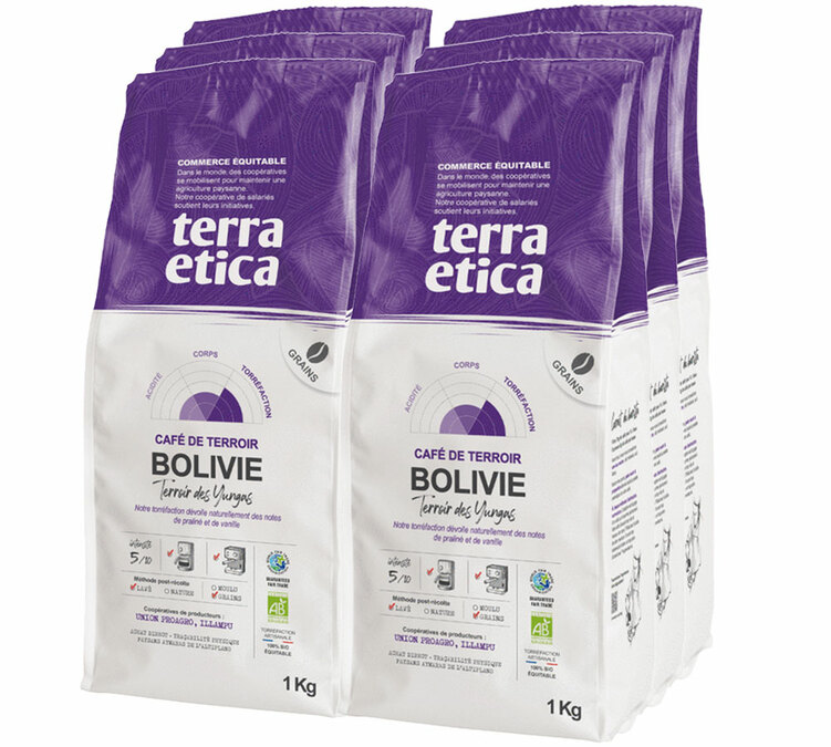 6 kg bio pörkölt kávébab, professzionális felhasználásra, Bolívia – Terra Etica