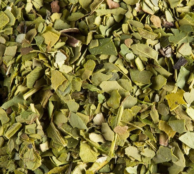 Té Verde - a granel, 100 g - DAMMANN FRÈRES